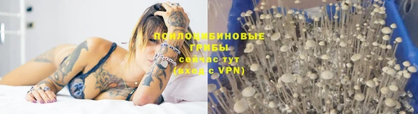 COCAINE Новодвинск