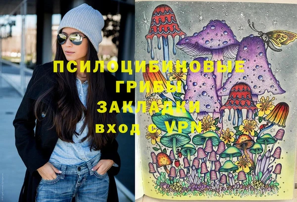 ешки Новокубанск